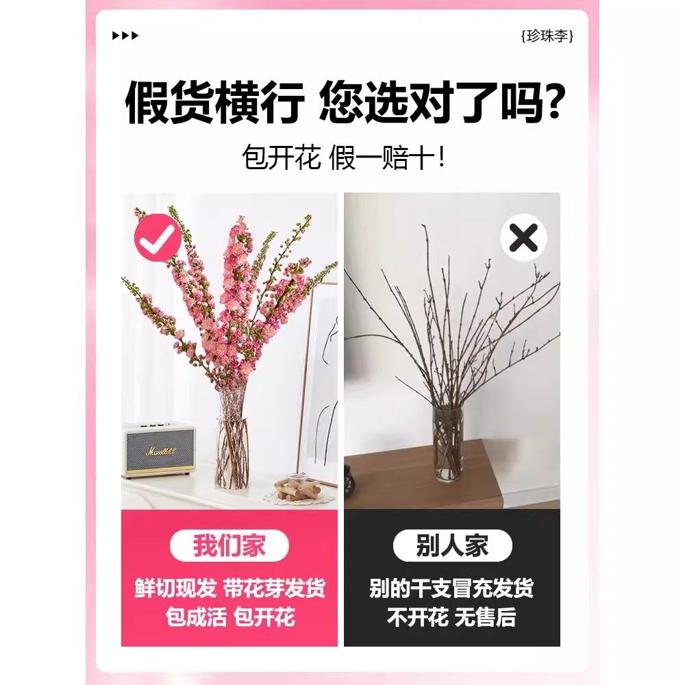 珍珠李干枝鲜花桃花樱花红梅水培植物带花苞鲜切雪柳花卉室内水养,淘宝优惠券,粉丝福利购,淘宝优惠卷