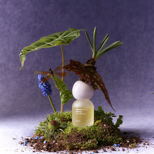 【新年礼物】Je Sens觉森馥奇西普调香水精油DIY调香冥想香氛 - 图1