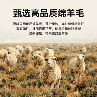 红豆男装春秋羊毛衫休闲百搭