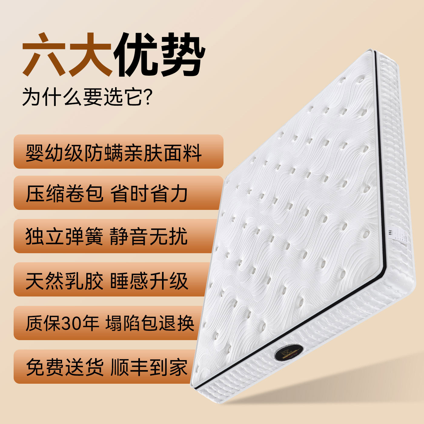 ESC乳胶记忆棉弹簧床垫席梦思25cm厚酒店民宿卧室家用床垫1.8米*2,淘宝优惠券,粉丝福利购,淘宝优惠卷