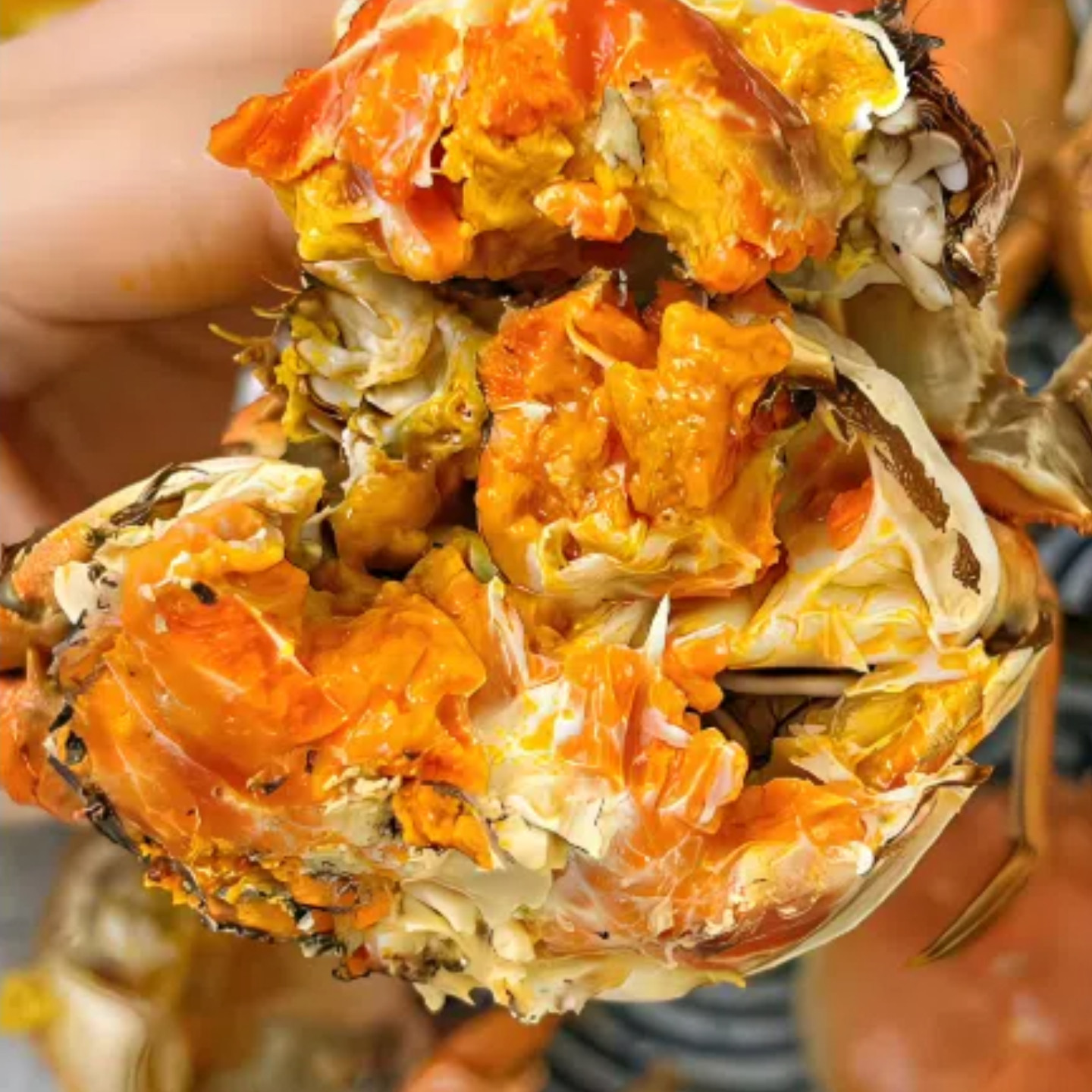 鲜活苏州核心产区湖水特大大闸蟹公4.5两母3.5两10只礼盒装阳澄,淘宝优惠券,粉丝福利购,淘宝优惠卷