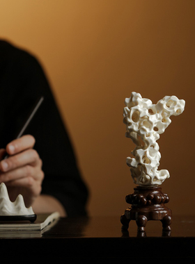 鹿角仿太湖石奇石厅堂大小型摆件天然中式造型观光石灵璧石装饰品