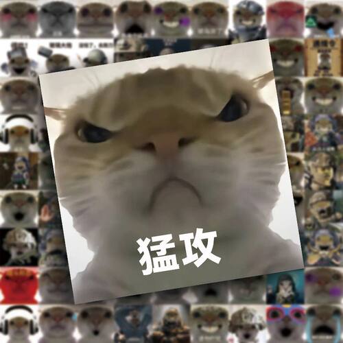 162张三角洲鼠鼠得吃猫头表情包贴纸搞笑沙雕趣味手账手机diy贴画 - 图1