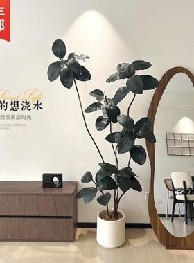 黑金刚橡皮树客厅大盆栽造型室内大型仿真绿植假花办X公室阳台植