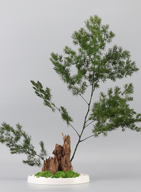 新中式创意蓬莱松盆景办公室家居客厅书房茶几组合软装饰品摆件