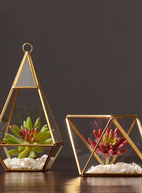 北欧创意玻璃罩摆件轻奢客厅电视柜书房酒柜玄关桌面家居软装饰品