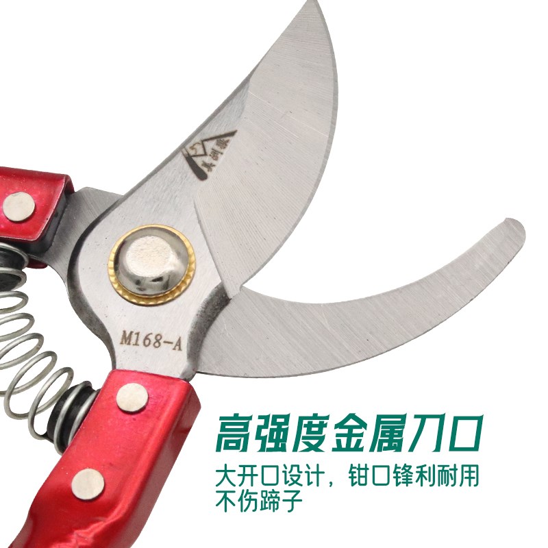 羊用修蹄剪刀羊蹄剪修蹄刀兽用剪蹄子羊指甲剪刀修羊蹄子专用工具 - 图1