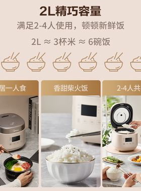 美的小型2L多功能电饭煲