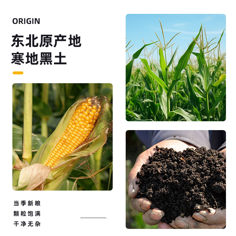 5斤东北小碴子真空玉米糁玉米渣子玉米茬玉米碎粗粮包装 2.5kg,淘宝优惠券,粉丝福利购,淘宝优惠卷