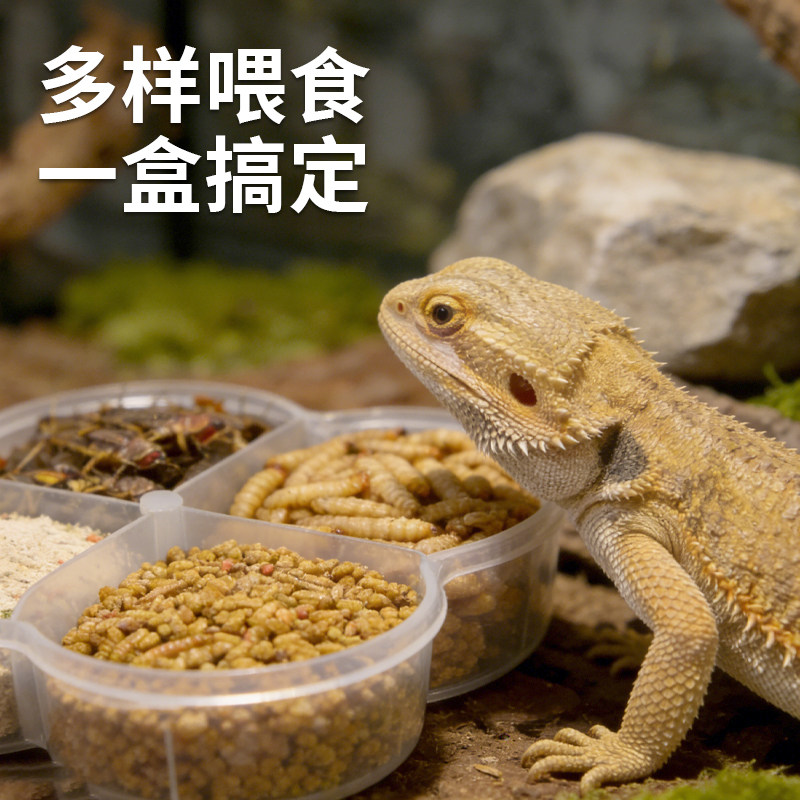 【宠大条】爬宠分格食盒蜥蜴喂水盆守宫喂食盆四合一防撒防溅食碗,淘宝优惠券,粉丝福利购,淘宝优惠卷