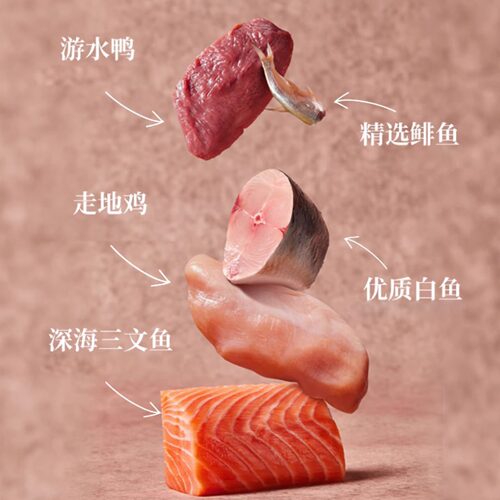 Fromm绿福摩无谷三文鱼鸭肉禽猎鸟经典蔬果成幼猫粮10磅 - 图3