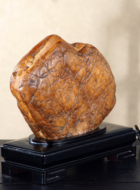 顶爷奇石原石靠山收藏大化石摆件