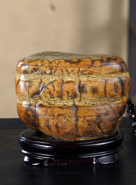 顶爷奇石原石靠山收藏大化石摆件