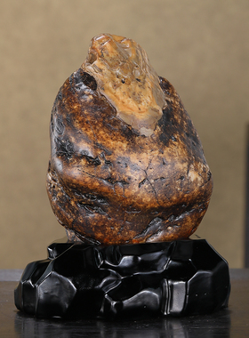 顶爷奇石原石靠山收藏九龙壁摆件