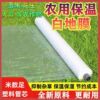 Mulch agricultural film plastic cloth greenhouse film transparent construction engineering film curing film concrete film moisturizing and thermal insulation