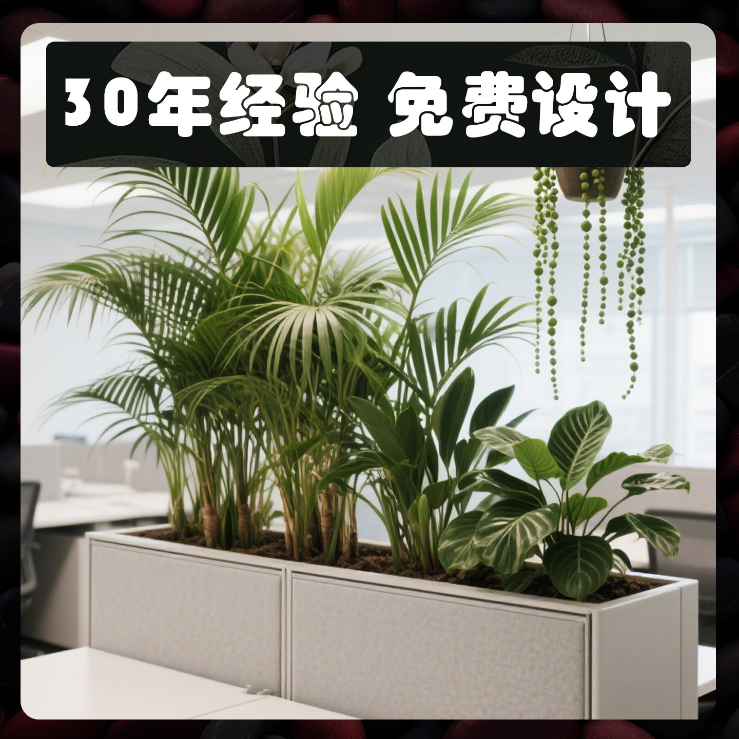 广州植物租赁绿化租摆办公室大绿植盆栽园艺上门养护花卉服务套餐,淘宝优惠券,粉丝福利购,淘宝优惠卷