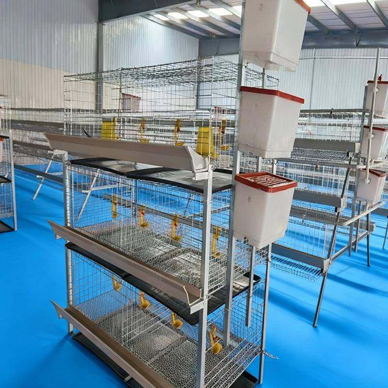 养鸡场镀锌立式肉鸡笼厂家供应三层鸡笼层叠式含托粪盘塑料网水箱,淘宝优惠券,粉丝福利购,淘宝优惠卷