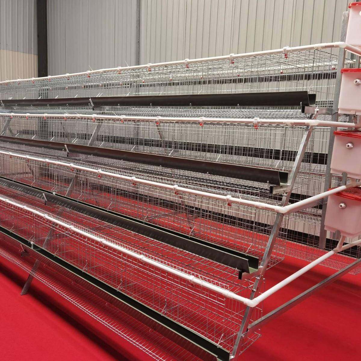 阶梯鸡笼架子鸡舍养鸡镀锌丝养殖设备三四层蛋鸡笼多层式养殖设备,淘宝优惠券,粉丝福利购,淘宝优惠卷