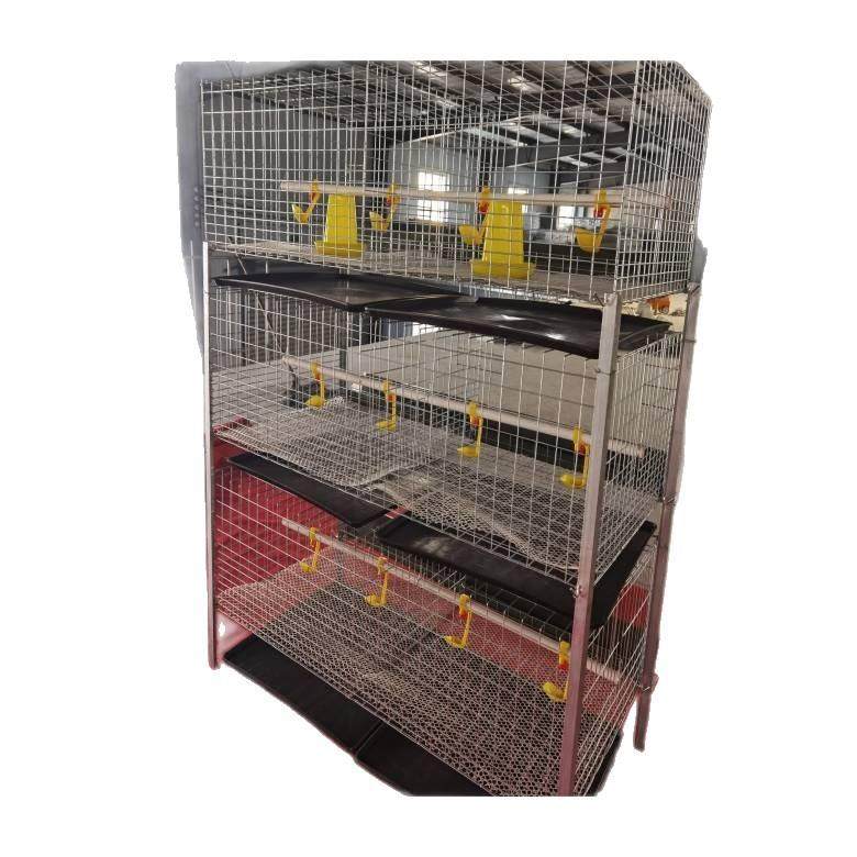 厂家销售三层立式肉鸡笼养殖养鸡设备肉鸡笼防锈肉鸡笼热镀锌鸡笼,淘宝优惠券,粉丝福利购,淘宝优惠卷