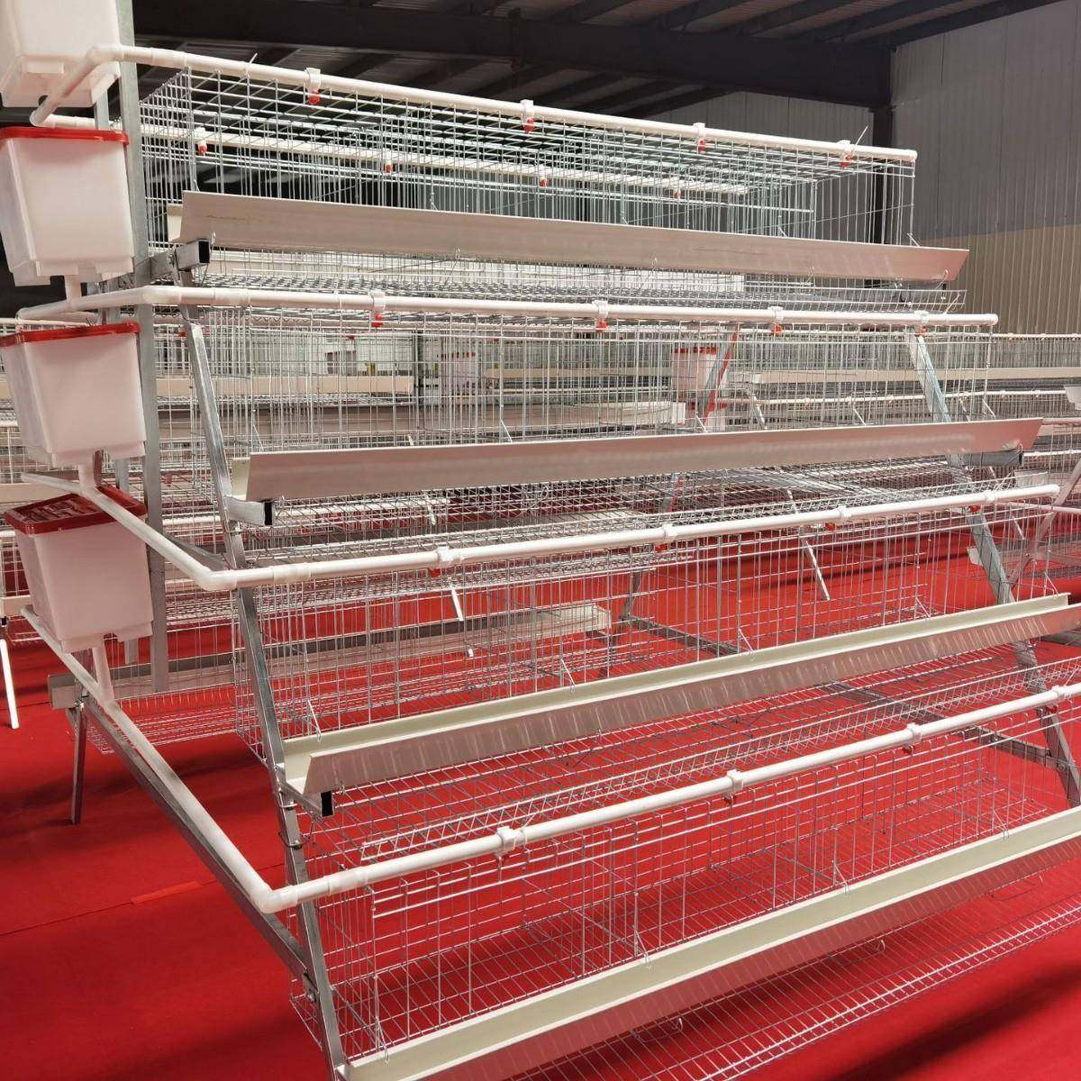 阶梯鸡笼架子鸡舍养鸡镀锌丝养殖设备三四层蛋鸡笼多层式养殖设备,淘宝优惠券,粉丝福利购,淘宝优惠卷