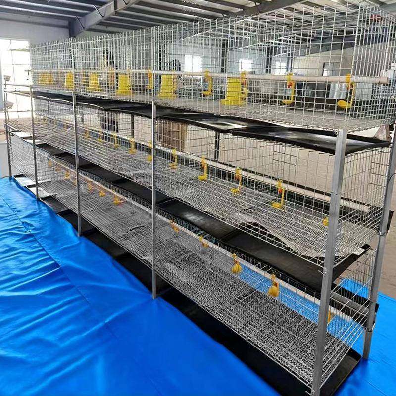 养鸡场镀锌立式肉鸡笼厂家供应三层鸡笼层叠式含托粪盘塑料网水箱,淘宝优惠券,粉丝福利购,淘宝优惠卷