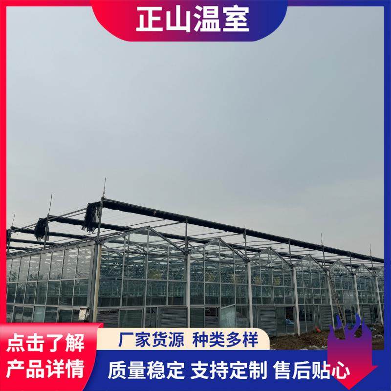 厂家生产玻璃温室大棚工程蔬菜瓜果种植跨度大智能玻璃温室大棚,淘宝优惠券,粉丝福利购,淘宝优惠卷