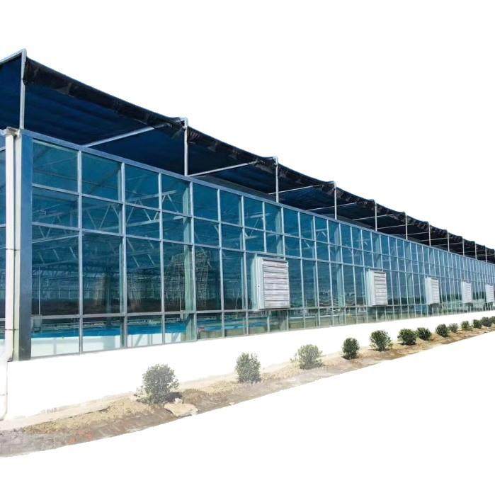 厂家生产玻璃温室大棚工程蔬菜瓜果种植跨度大智能玻璃温室大棚,淘宝优惠券,粉丝福利购,淘宝优惠卷