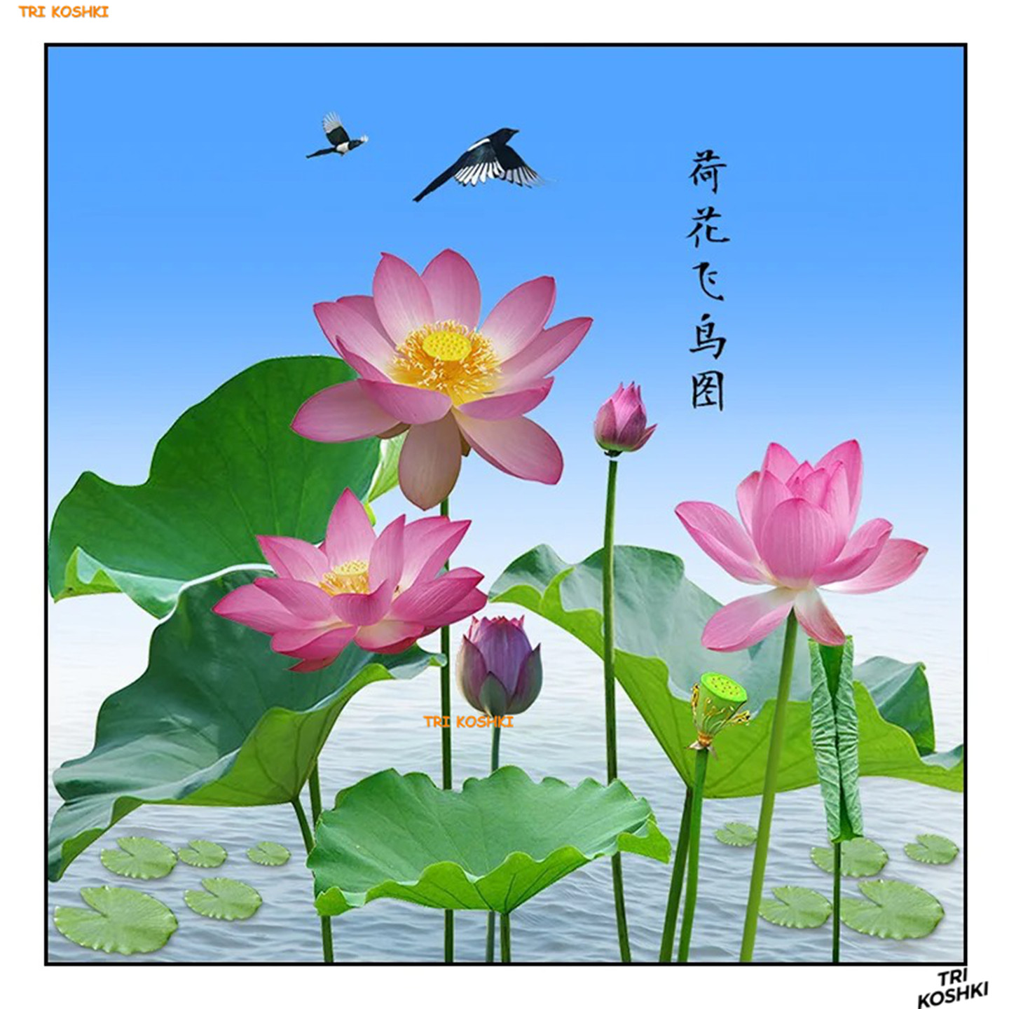 厕所厨房荷花净秽图九鱼荷花图卫生间高档装饰贴画自粘防水瓷砖贴,淘宝优惠券,粉丝福利购,淘宝优惠卷