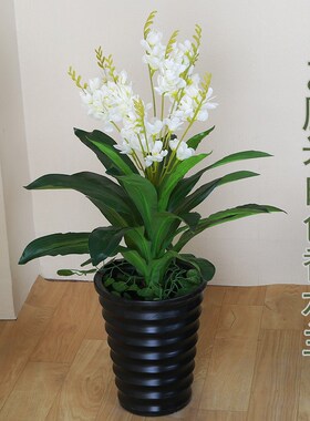 仿真蝴蝶兰花盆栽防真花客厅室内阳台摆放花卉塑料植X物小盆景假