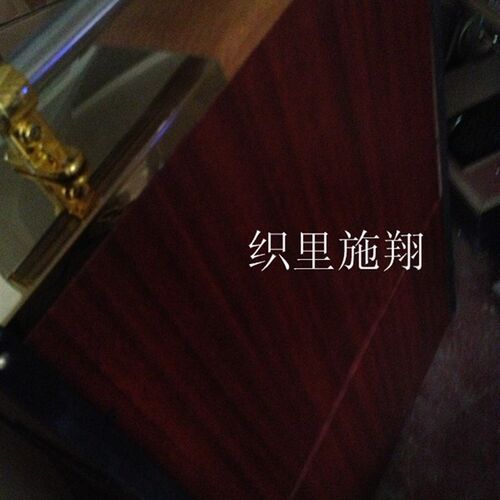 恒丰新款全自动擦鞋机 居家公用办公立式感应擦鞋器 江浙沪包邮 - 图1