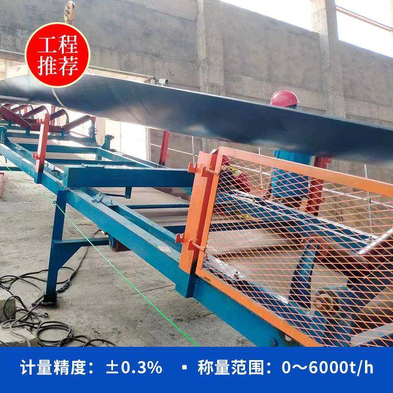 RCE-ABS阵列式电子皮带秤水泥钢铁冶金高精度电子皮带秤稳定性好,淘宝优惠券,粉丝福利购,淘宝优惠卷