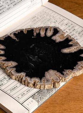 天然木化石原石切片桌面摆件博古架格子树化石装饰设计师样板间