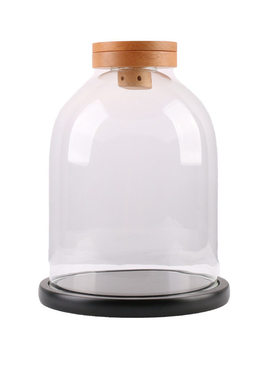 新款酒店美食增香透明玻