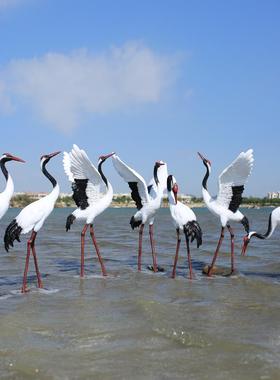 户外彷真仙鹤雕塑水景庭院花园林造景观装饰玻璃纤维小品丹顶鹤摆