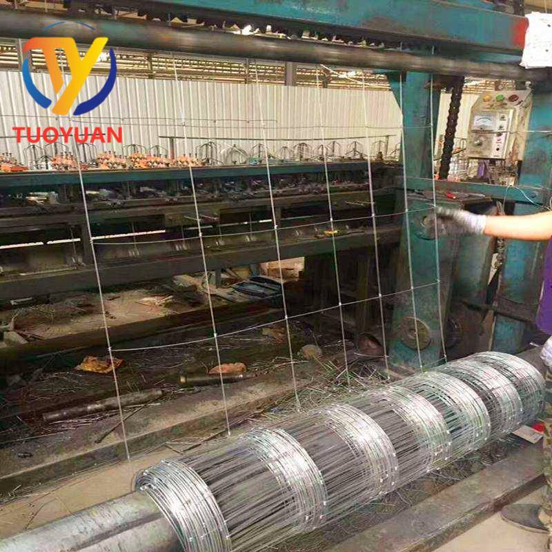养殖钢丝网养牛羊鹿马围栏镀锌铁网现货果园围栏网草原铁丝网 - 图2