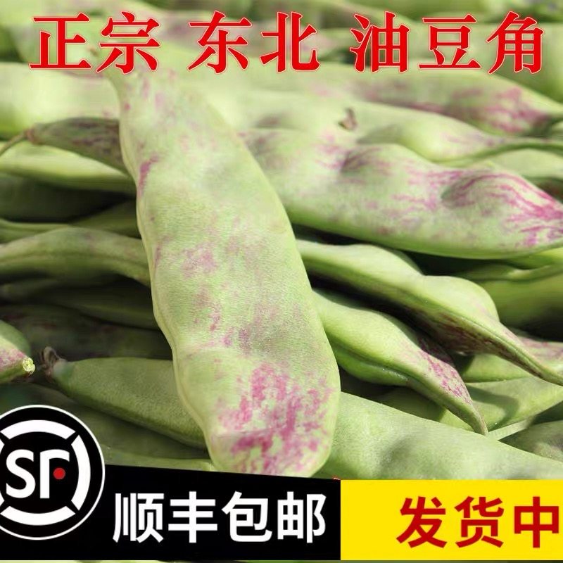 顺丰现摘东北特产油豆角一点红开锅烂新鲜当季蔬菜九月青面扁豆角,淘宝优惠券,粉丝福利购,淘宝优惠卷