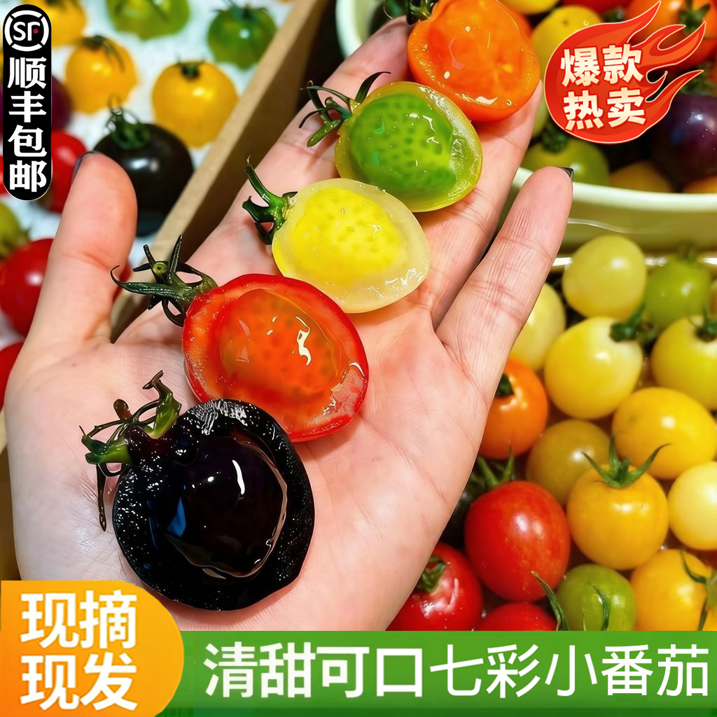 山东七彩小番茄新鲜现摘现发彩色小柿子清甜多汁圣女果混合装水果