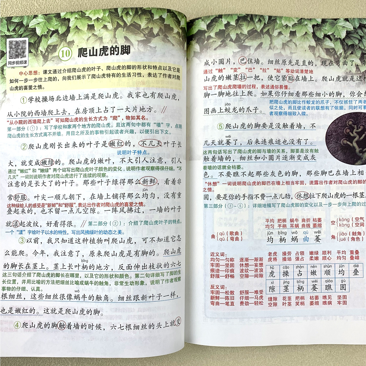 图 5