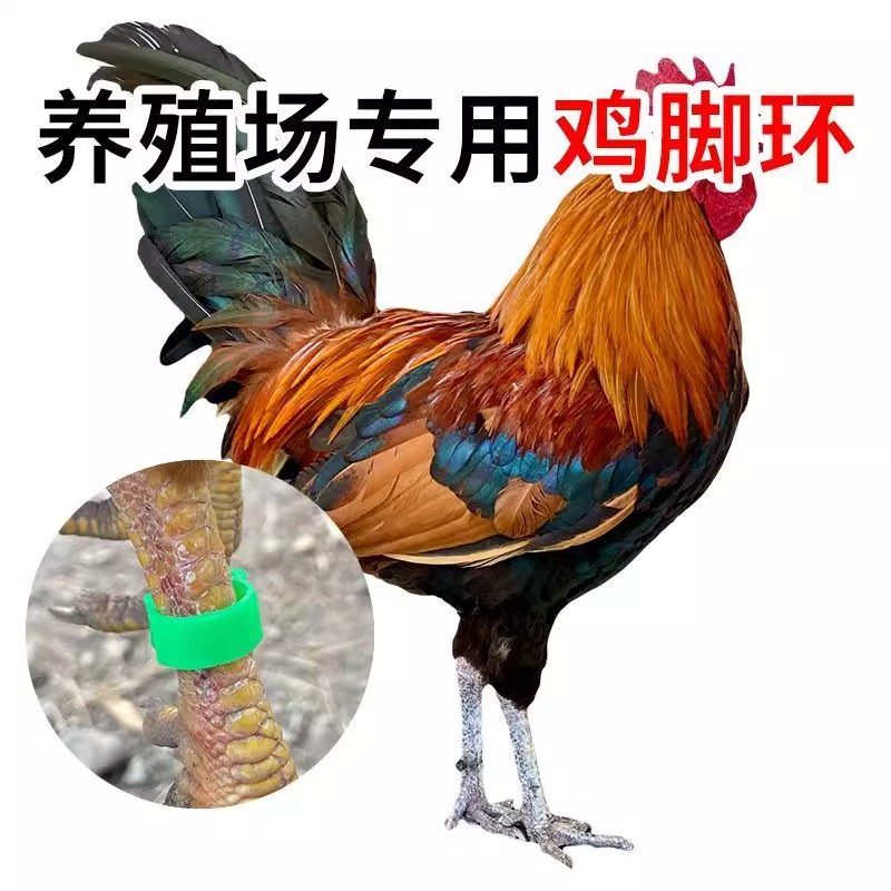 养殖厂鸡脚环自动卡扣鸡做记号防走失家禽识别扣环鸟用脚环标记,淘宝优惠券,粉丝福利购,淘宝优惠卷