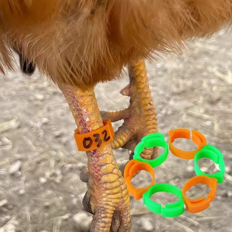 养殖厂鸡脚环自动卡扣鸡做记号防走失家禽识别扣环鸟用脚环标记,淘宝优惠券,粉丝福利购,淘宝优惠卷