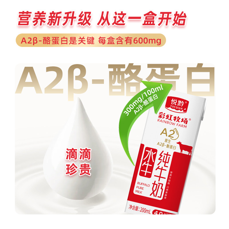 悦黔A2水牛奶水牛纯牛奶儿童成长学生成人营养早餐纯牛奶水牛牛奶,淘宝优惠券,粉丝福利购,淘宝优惠卷