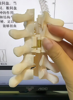 3D打印仿真脊椎骨鲨鱼夹