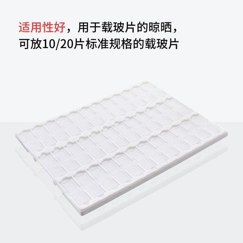 赛比诺 载玻片晾片板带滤水沥水10片 20片 36片载玻片存放板/操作晾片板/邮寄夹/病理载玻片盒/切片板 - 图1