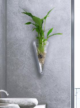 挂壁挂水培绿萝花瓶墙上水养植物玻璃瓶器皿挂墙创意透明花盆装饰