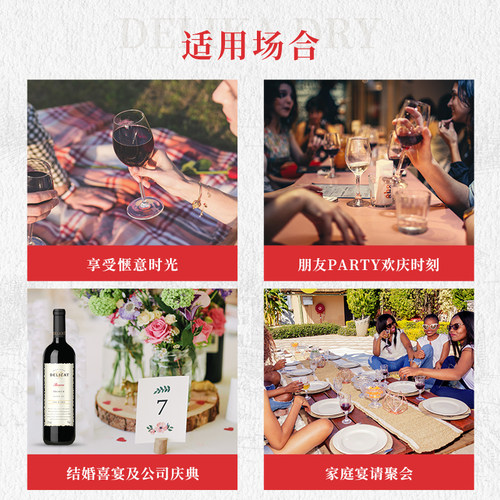 【自营】智利进口黛莉卡13度红酒赤霞珠干红葡萄酒正品 - 图3