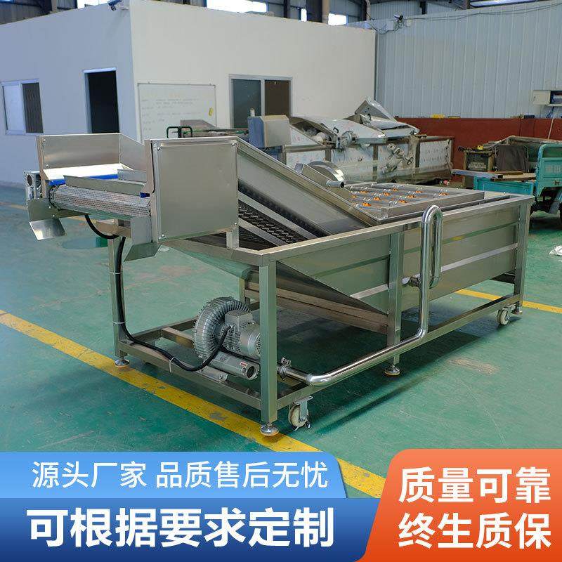 全自动果蔬气泡清洗机水浴式蔬菜商用喷淋水果多功能食品级商用级,淘宝优惠券,粉丝福利购,淘宝优惠卷