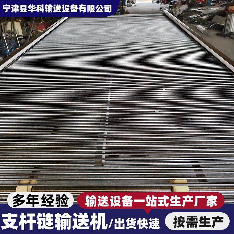 不锈钢支轴链输送机鸡蛋分拣河粉清洗输送带链条式支杆链传送机,淘宝优惠券,粉丝福利购,淘宝优惠卷