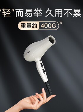 火之凤吹风机6600H发型师专用发廊理发店家用大功率大风力风筒