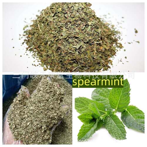 包邮留兰香薄荷茶碎散装 spearmint tea bag皱叶留兰香现货 - 图0