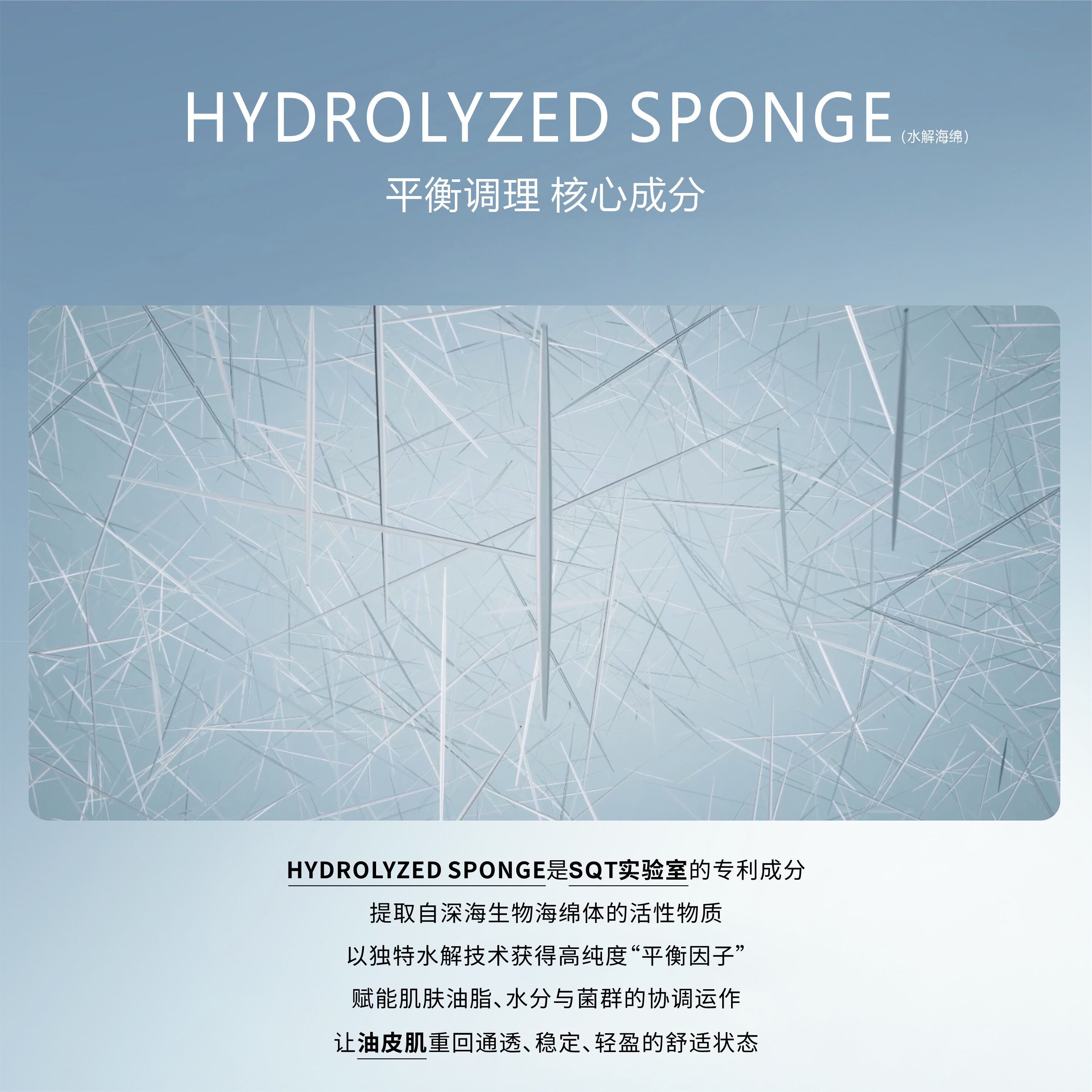 sqt油皮精华次抛 控油紧致收缩毛孔 油皮肌专研毛孔调理精华2ml*2